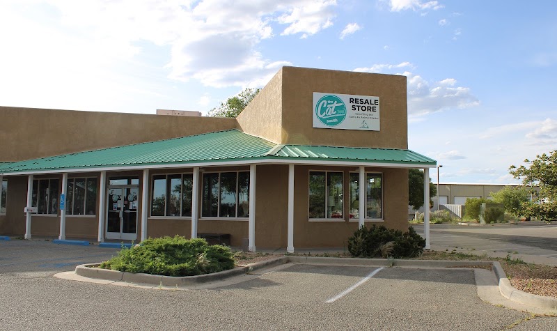 The Cat on Camino Entrada