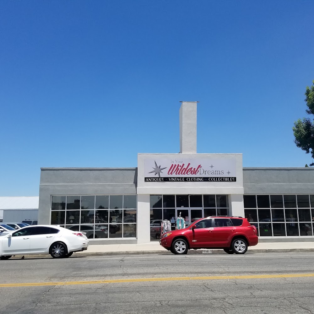 In Your Wildest Dreams Consignments