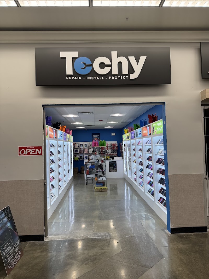 Techy Raleigh