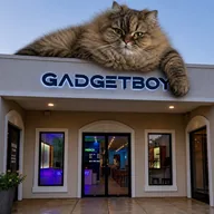 Gadgetboy – Electronics Retail & Repair Columbia SC