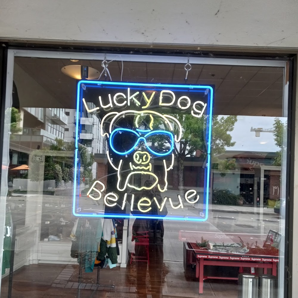 Lucky Dog Bellevue