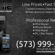 iGenie Repair