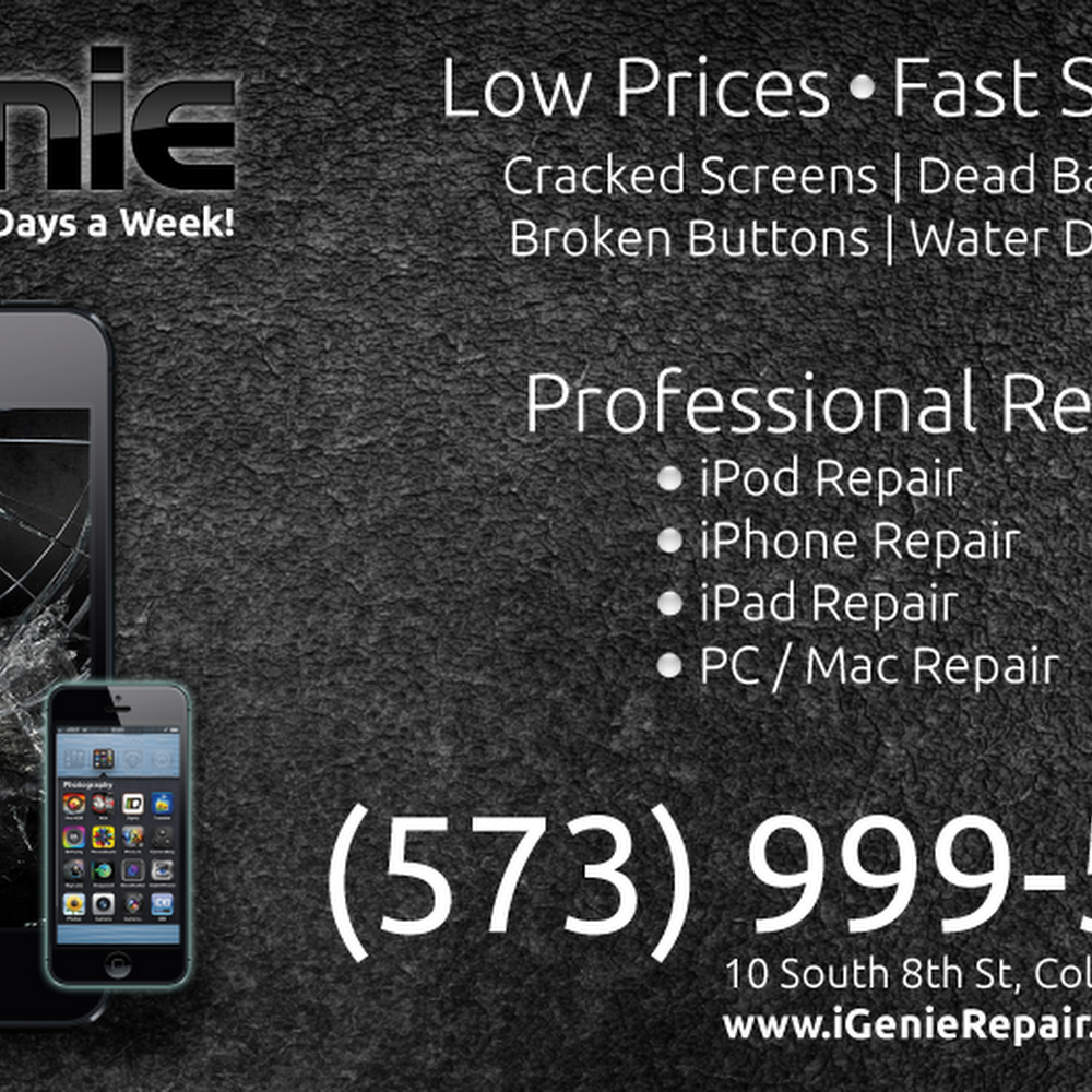 iGenie Repair