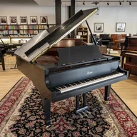 Amro Piano Gallery