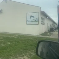 Mr. Fix My Phone